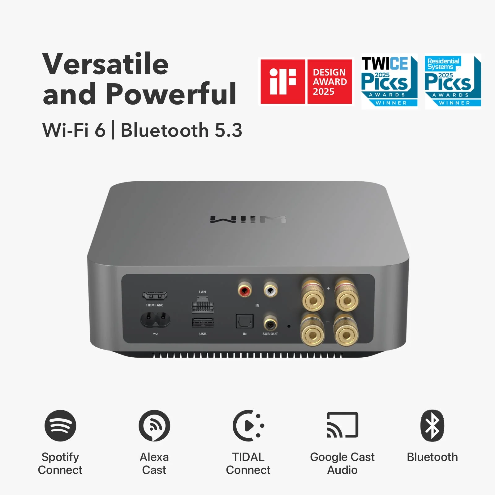Face arrière du WiiM Amp Pro : HDMI ARC, entrées, sortie caisson et bornier enceintes