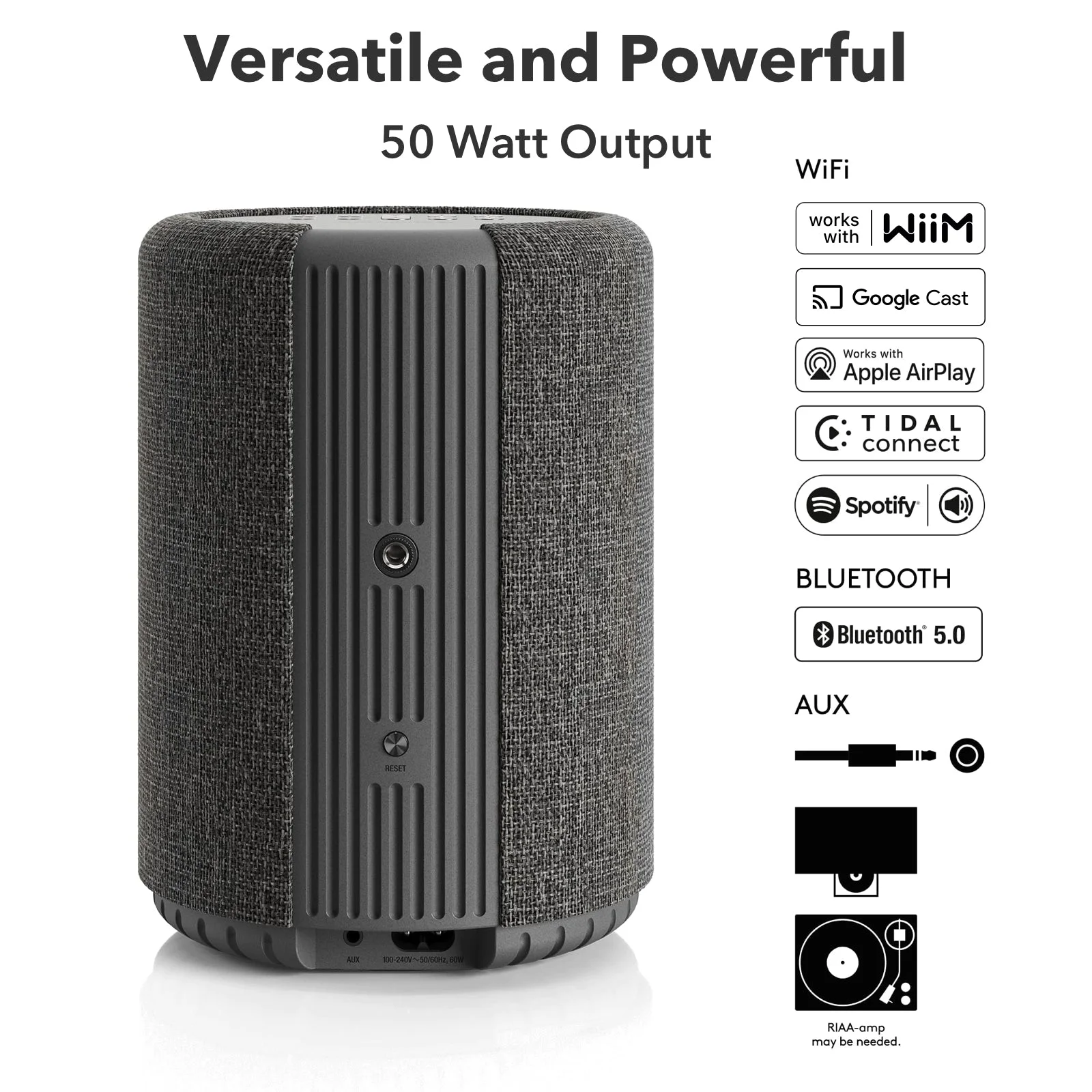 Face arrière de l’A10 MKII et sources compatibles : Wi-Fi, Bluetooth et entrée Aux