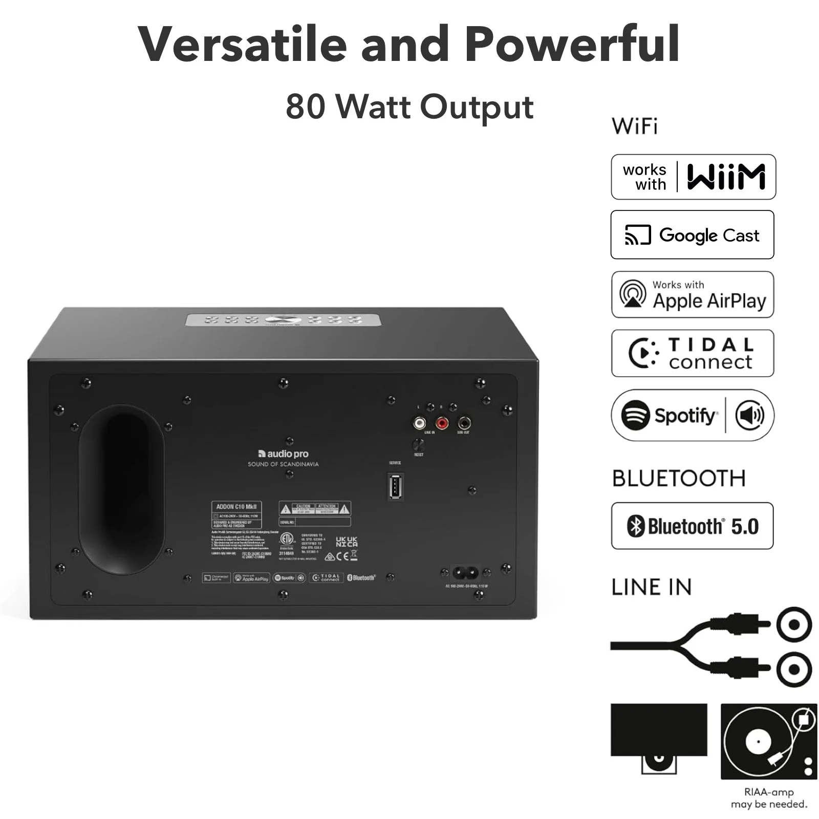 Face arrière de la C10 MKII avec évent bass-reflex et entrée RCA, sources Wi-Fi et Bluetooth